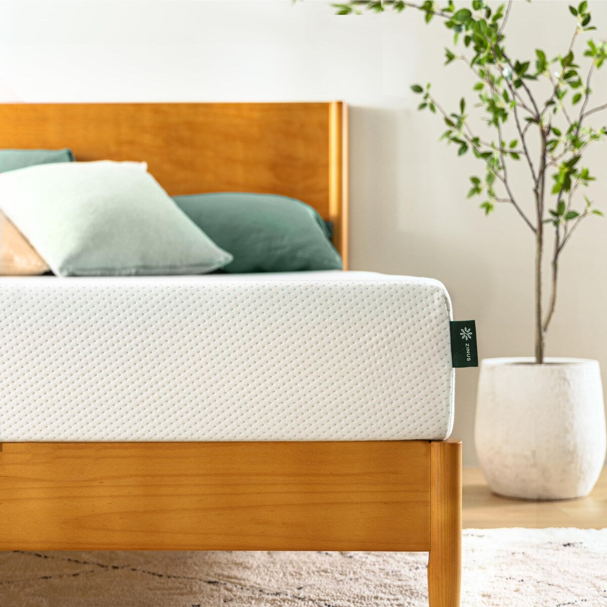 Matelas en mousse à mémoire de forme au thé vert 6 pouces, sans fibre de verre, support breveté sur mesure, base en mousse robuste, lit-en-boîte, très grand lit