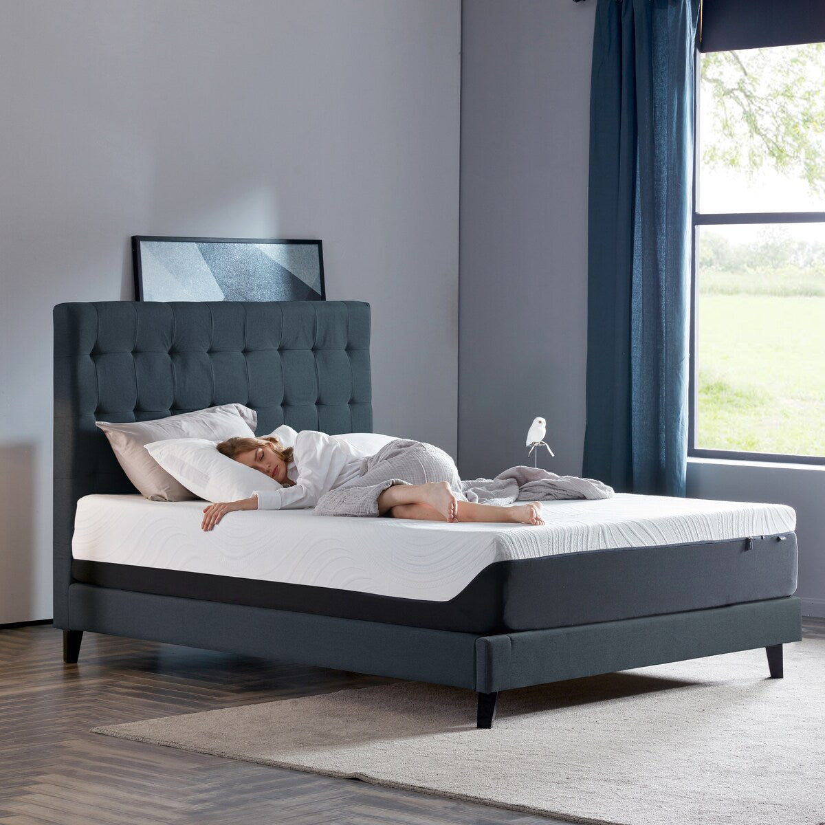 Matelas en mousse à mémoire de forme gel 12 pouces, très grand lit - Peluche