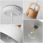 Luminaire suspendu moderne à 1 lumière avec interrupteur enfichable pour îlot de cuisine