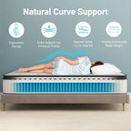 Matelas hybride Euro Top en mousse à mémoire de forme et ressorts ensachés de 10 pouces, matelas dans une boîte