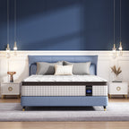 Matelas haut de gamme en mousse à mémoire de forme et ressorts ensachés de 25 cm, Eruo Top Mattress