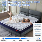 Matelas hybride à ressorts ensachés en mousse à mémoire de forme 10/12 pouces, livré dans une boîte avec mousse à mémoire de forme certifiée Certipur-US