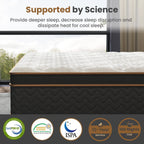 Lot de 10 matelas moelleux avec ressorts ensachés et mousse à mémoire de forme, sans fibre de verre, isolation des mouvements, support des bords, matelas dans une boîte