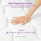 Matelas hybride 12 pouces avec mousse à mémoire de forme et ressorts, matelas Euro Top dans une boîte