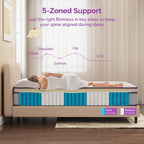 Matelas hybride 12 pouces avec mousse à mémoire de forme et ressorts, matelas Euro Top dans une boîte