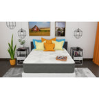 Matelas hybride en mousse alvéolée Euro Top Plush 12