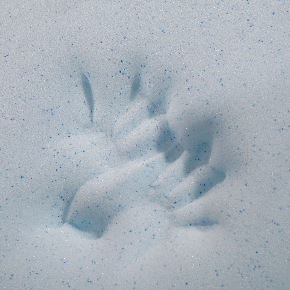 Matelas en mousse à mémoire de forme 14 pouces avec 2 oreillers