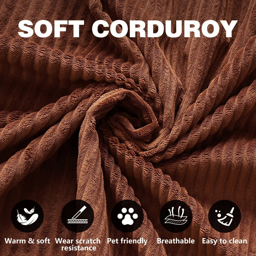 Canapé-lit convertible de 78,8 cm avec coussin de soutien dorsal et accoudoirs