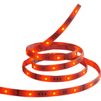 Bande lumineuse LED RGBW extensible de 8 watts, 90 cm, motif étoile de mer, IOT, 120 volts, 800 lumens