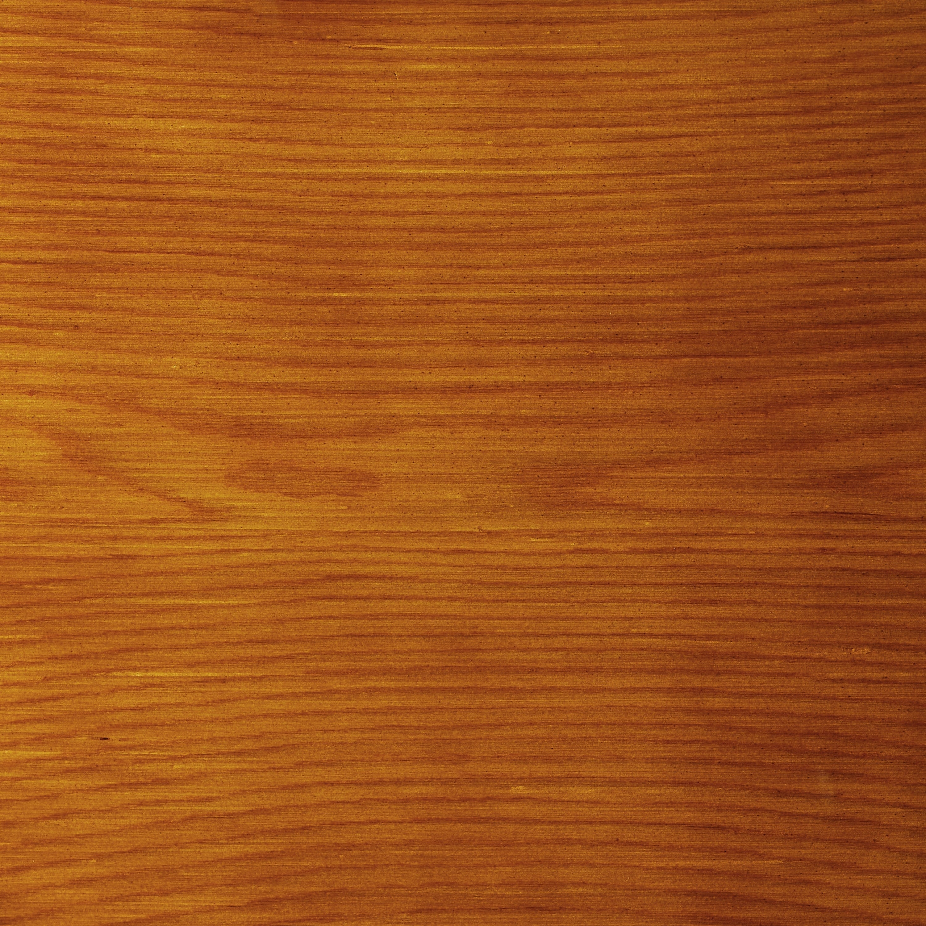 Fauteuil inclinable en cuir véritable Art Leon de style milieu du siècle moderne