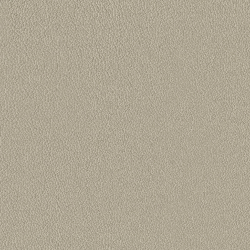 Fauteuil inclinable électrique Blythe en cuir assorti