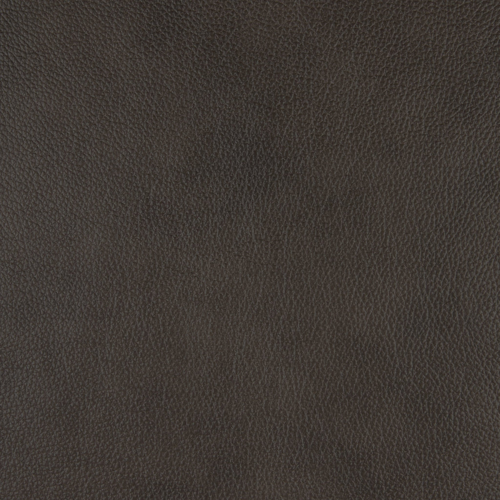 Fauteuil inclinable électrique Blythe en cuir assorti