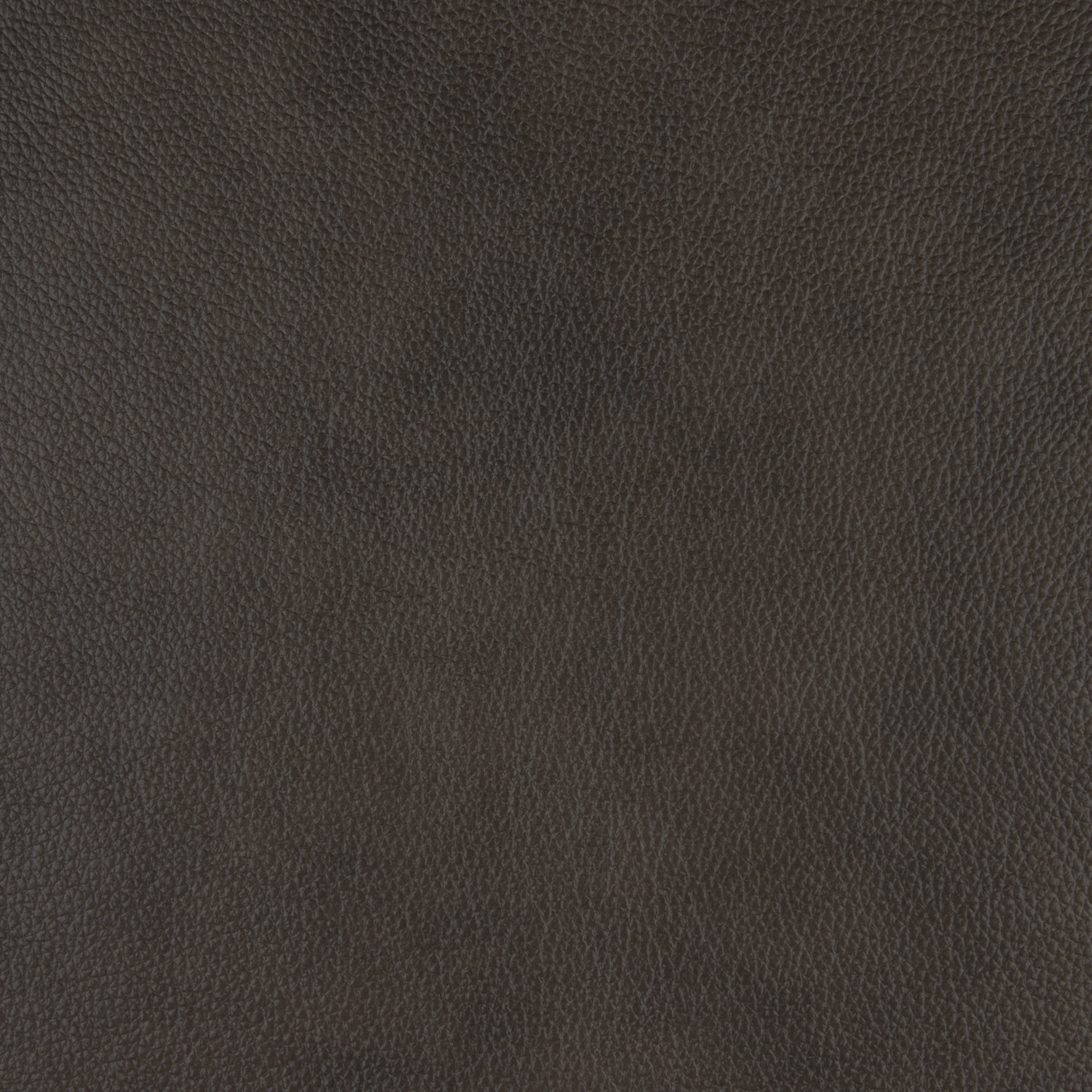 Fauteuil inclinable électrique Blythe en cuir assorti