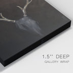 Toile tendue Buck Premium Gallery - Prête à accrocher