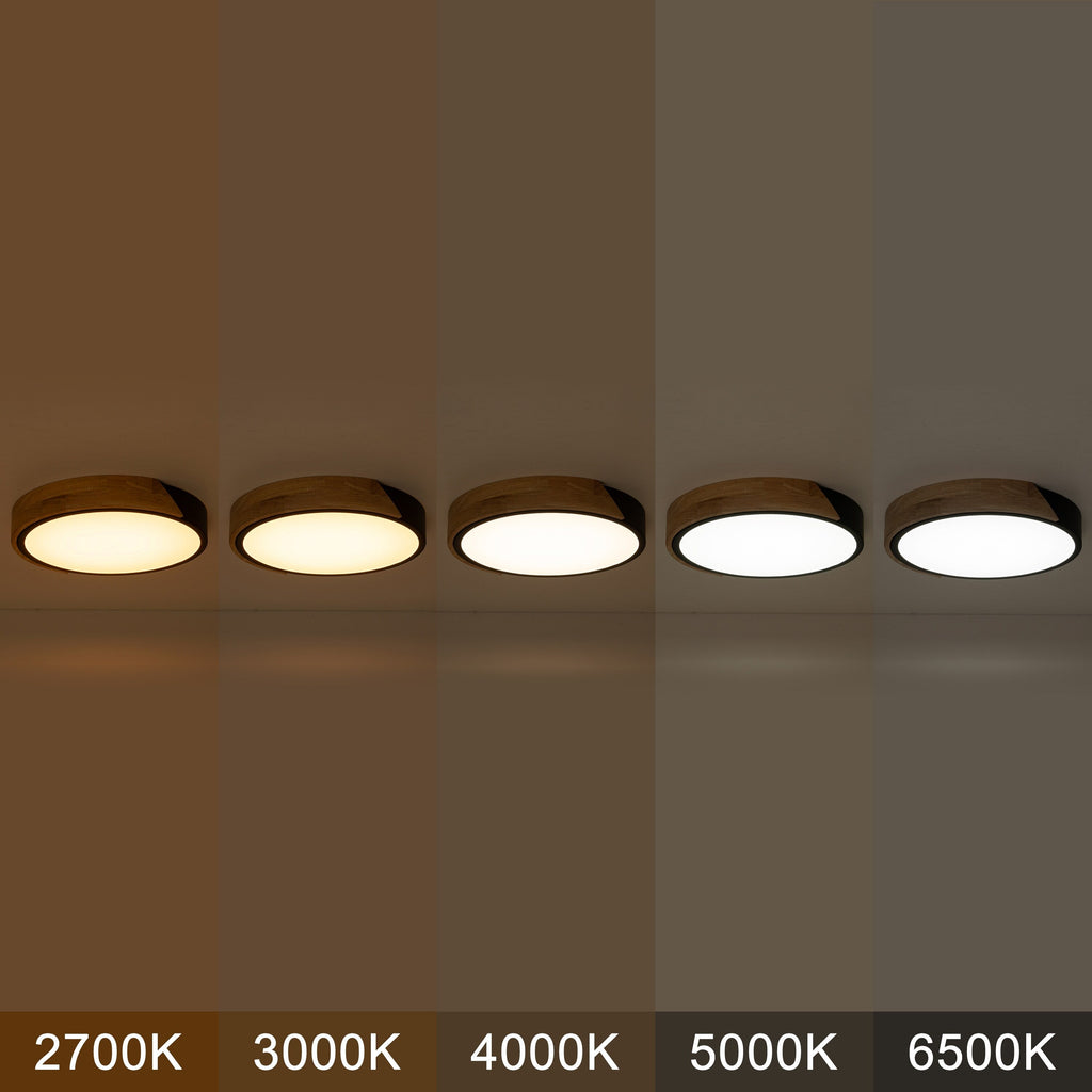 Plafonnier encastré à LED intégré C Cattleya 5CCT