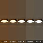 Plafonnier encastré à LED intégré C Cattleya 5CCT