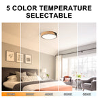 Plafonnier encastré à LED intégré C Cattleya 5CCT