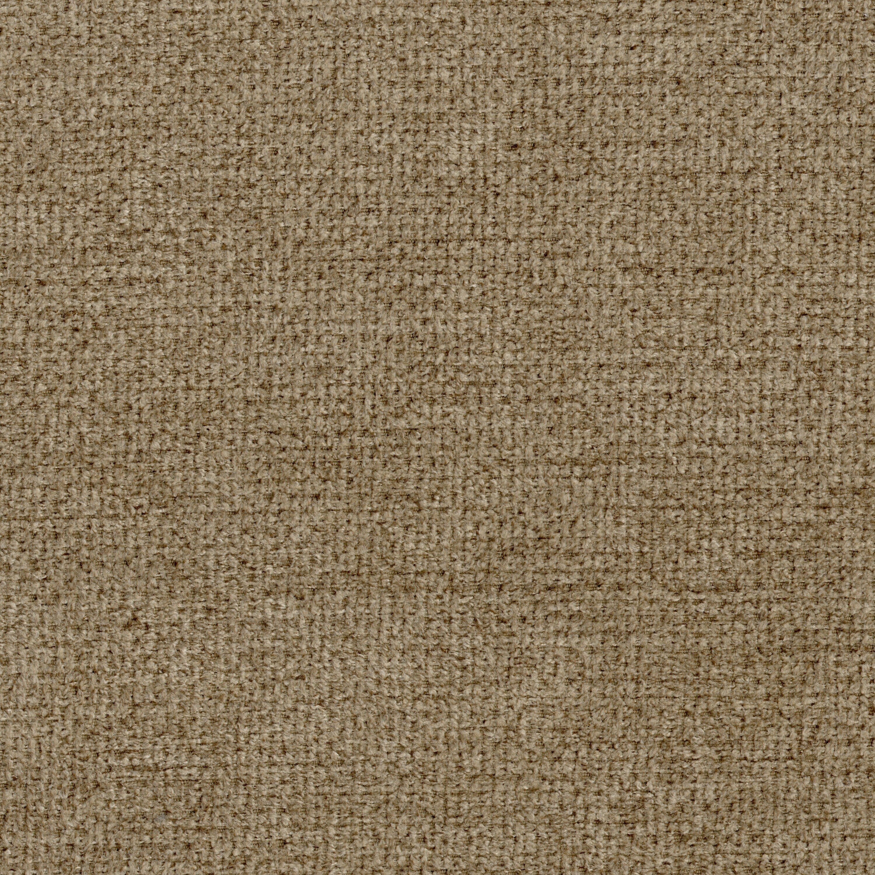 Canapé Caisy, polyester marron clair, coussins en mousse, structure en bois massif, 93 pouces