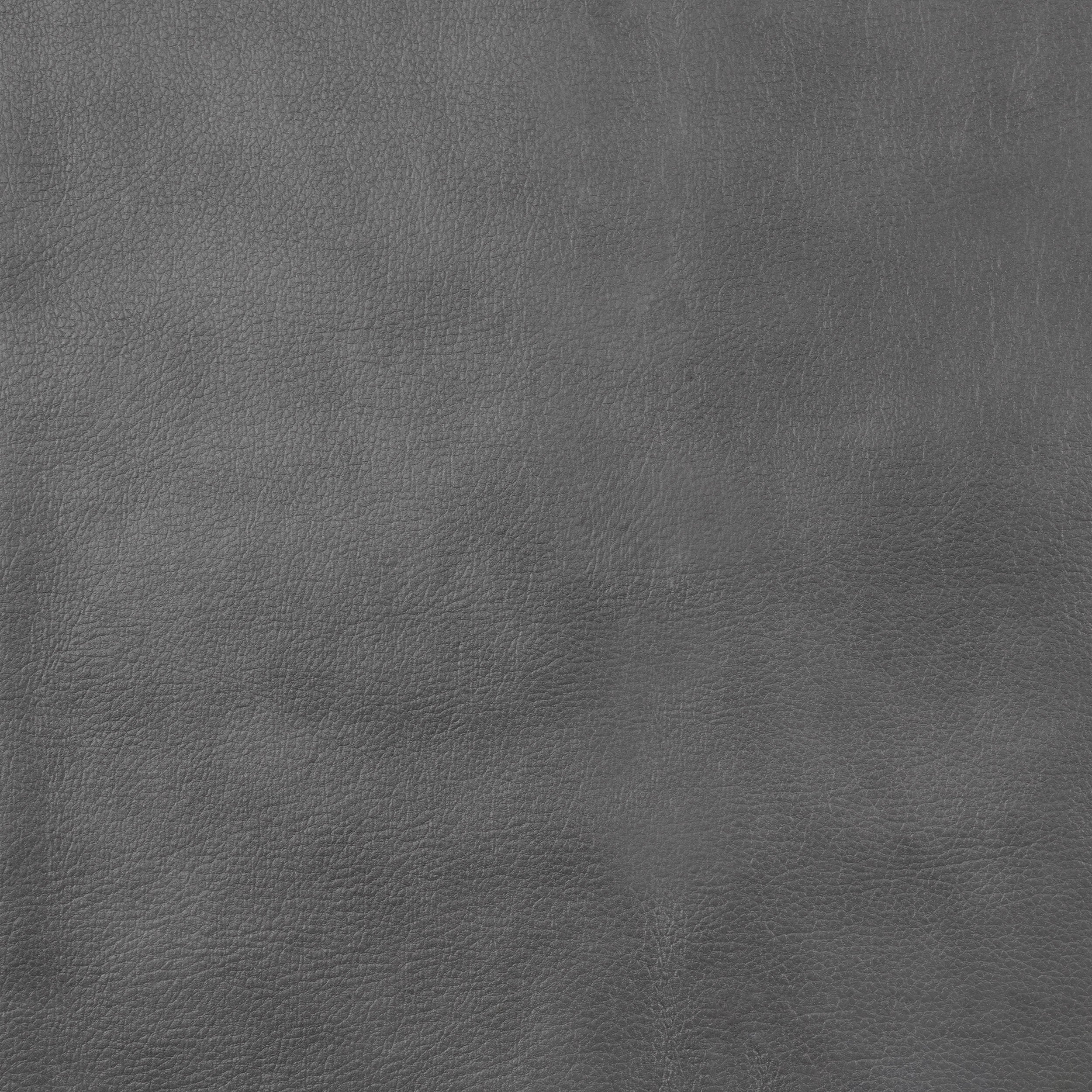 Canapé Conrad rembourré avec accoudoirs rembourrés Gris