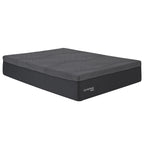 Matelas en mousse à mémoire de forme ComforPedic de BeautyRest 14 NRO