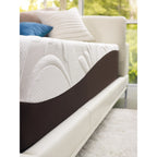 Ensemble matelas ferme New Life Plush ComforPedic de Beautyrest