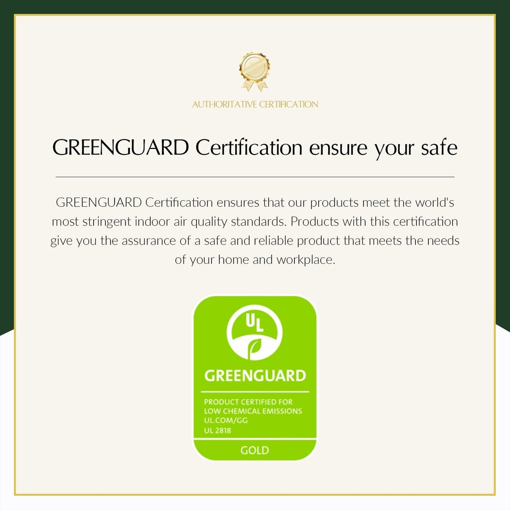 Lot de 2 chaises pivotantes modernes en cuir véritable Demeter pour chambre d'enfant avec garnitures cloutées par HULALA HOME