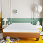 Matelas en mousse à mémoire de forme ferme Doze de 6 po avec housse en aloe vera