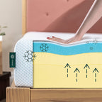 Matelas ZINUS 10 pouces en mousse à mémoire de forme au thé vert, gel rafraîchissant, soulageant la pression, certifié CertiPUR-US