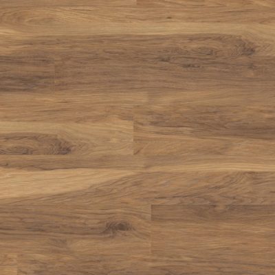 Caryer des Appalaches 10 mm